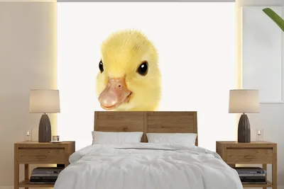 Produktbild von MuchoWow® Fototapete für Wohnzimmer oder Schlafzimmer Wandtapete Vinyl Motivtapete Tiere - Ente - Gelb - 280x280 cm - Hintergrundbild