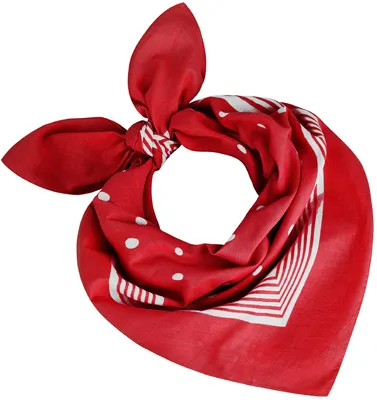 Produktbild von Tobeni Bandana Baumwolle Nickituch gepunktet 55x55 cm Halstuch Kopftuch Tücher, Farbe:Rot, Grösse:55 cm x 55 cm