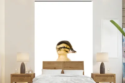 Produktbild von MuchoWow® Fototapete für Wohnzimmer oder Schlafzimmer Wandtapete Vinyl Motivtapete Ente - Gelb - Tiere - Natur - 180x280 cm - Wallpaper