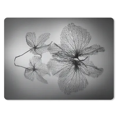 Produktbild von MuchoWow® Mauspad Mousepad Stilleben - Schwarz - Weiß - Blätter 23x19 cm - Mousepads - Maus Mat - Pad - Mausunterlage - Schreibtischunterlage - Mauspad