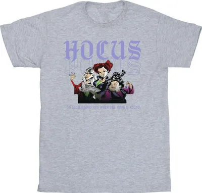 Produktbild von Disney - "Hocus Pocus Hallows Eve" T-Shirt für Herren BI22499 (S) (Grau)