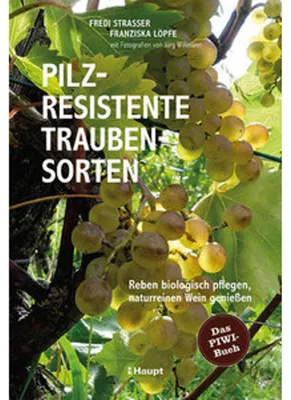 Obrázek produktu pro Im Schatten des Feigenbaums