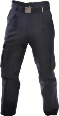 A pair of dark-colored cargo pants with a belt, shown against a white background.