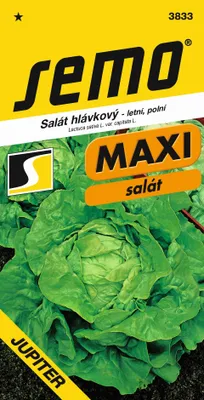 Image de Salade Jupiter - champêtre d'été 0,3 g - série MAXI