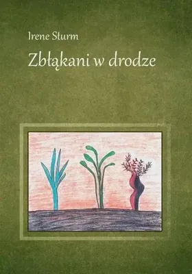 Productafbeelding van Sturm, I: Zblakani w drodze