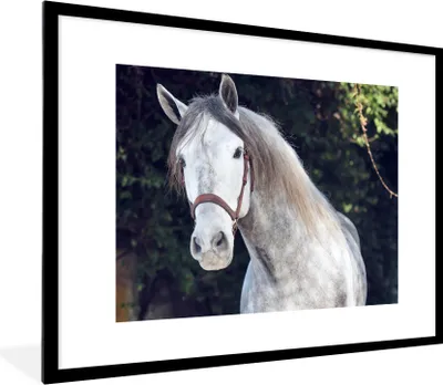 Produktbild von MuchoWow® Gerahmtes Poster Pferd - Halfter - Natur 80x60 cm - Poster mit Schwarzem Bilderrahmen Wandposter Rahmen Foto Bilder - Schlafzimmer-Dekorationen - Fotoposter