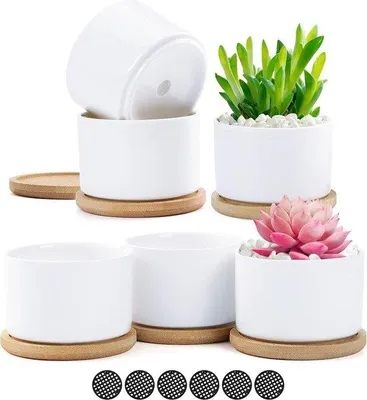 Image de Lot de 6 petits pots en céramique blancs pour fleurs