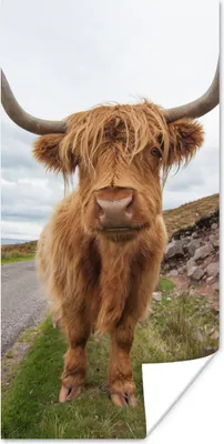 Produktbild von MuchoWow® Poster Schottischer Highlander - Hörner - Berg 60x120 cm - Wandschmuck