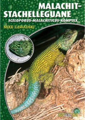 Image de Malachit-Stachelleguane