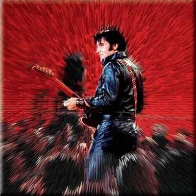 Obrázek produktu pro Elvis Presley Shine Magnetka