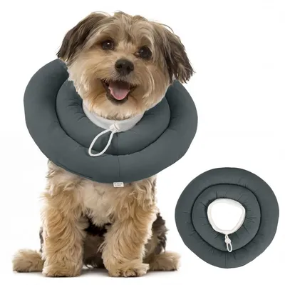 Imagen del producto de Cuello protector para perros, con acolchado suave, impermeable, con correa de arrastre, para perros pequeños