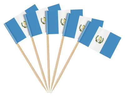 100er Set Guatemala Zahnstocher Fähnchen für Partydeko