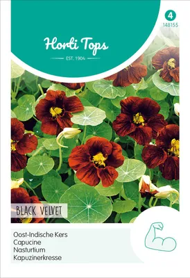 Produktbild von Kapuzinerkresse Black Velvet | Kapuzinerkressesamen von Hortitops