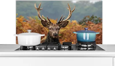 Produktbild von KitchenYeah®  Spritzschutz Küche - Küchenrückwand - Wandschutz für Herd und Spüle - Hirsch - Baum - Herbst 100x50 - Alu-Dibond (Alternative zum Spritzschutz aus Glas) - Hitzebeständig - Herdspritzschu