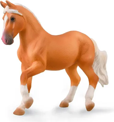 Image de Jument Paso Fino Jument Palomino