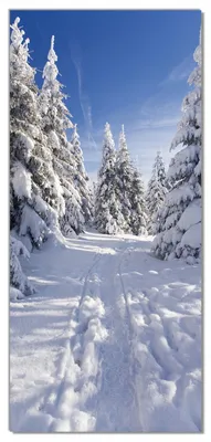 Produktbild von Wallario selbstklebende Türtapete 93 x 205 cm - Wanderweg im Schnee - Abwischbar, rückstandsfrei zu entfernen