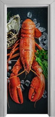 Produktbild von Tür Selbstklebende 80x210 cm Türfolie Türtapete Klebefolie - Meeresfrüchte Platte