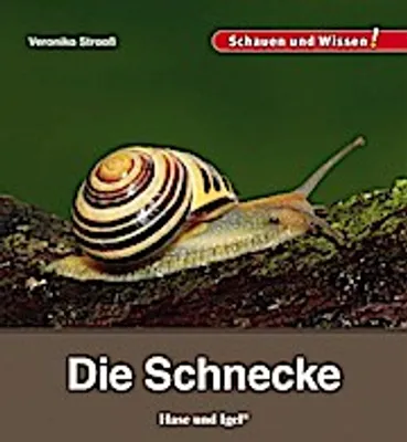 Image de Die Schnecke
