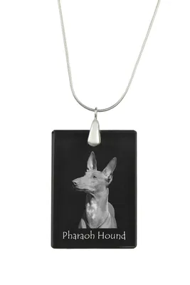 Obrázok produktu pre Faraónsky pes - Krištáľový prívesok so psom, strieborný náhrdelník s fotografiou, personalizovaný prívesok značky Art-Dog
