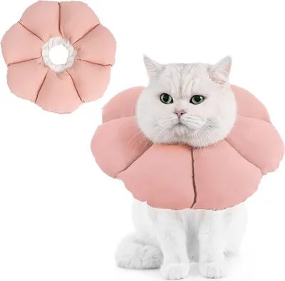 Image de Avont Collier Chat Protection contre les fuites Collier Souple -L Rose