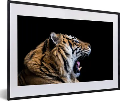 Produktbild von MuchoWow® Gerahmtes Poster Tiger - Tiere - Porträt 60x40 cm - Poster mit Schwarzem Bilderrahmen Wandposter Rahmen Foto Bilder - Schlafzimmer - Plakat in Rahmen - Drucken