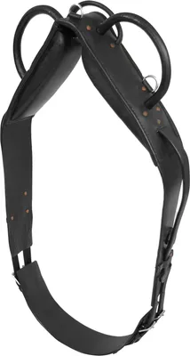 Produktbild von Waldhausen Voltigiergurt, Farbe:schwarz, Größe:Pony