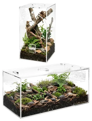 Imagen del producto de Terrario de acrílico para reptiles e insectos, de 25,5 x 13 x 13 cm
