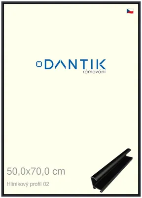 Zdjęcie produktu dla Rama DANTIK 50x70 | Profil ALU 7002 Czarny mat (Plexi Clear)