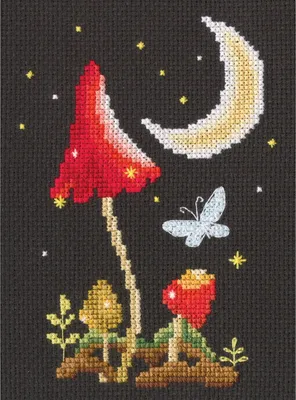 Productafbeelding van RTO Kreuzstich borduurpakket "Maanscheen", telpatroon, Aida 14, 10x14 cm