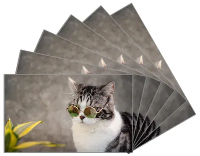 Produktbild von Wallario Frühstücksbrettchen 6er Set aus Glas, je 14 x 23 cm, mit rutschfesten Füßen, Motiv Katze mit Stil