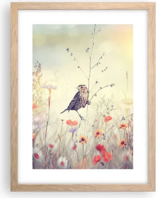 Produktbild von Gerahmtes Poster - Rahmen in heller Eiche - Vogel Wildschwein Wiese - 30x40 cm - Wand Bild - Wanddeko - Wandbilder - Wandposter - Bilderrahmen - Bilder - Kunstdruck - Wandbild - P2NPA30x40-4279
