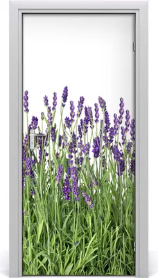 Produktbild von Tulup Türaufkleber 95x205 cm Dekorative Aufkleber Selbstklebend Wasserdichte Tapete Abnehmbar Schlafzimmer Wohnzimmer Wohnkultur - Lavendelfeld