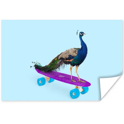 Produktbild von MuchoWow® Poster Pfau - Blau - Skateboard - Tiere - Lustig 120x80 cm - Bilder