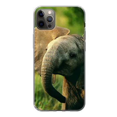 Produktbild von MuchoWow® Handyhülle Schutzhülle Hülle für iPhone 13 Pro Max Elefant - Grün - Tiere - Natur Silikon Softcase Handy Hülle - Mobiltelefon