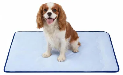 Image de Tapis rafraîchissant pour chiens et chats, respirant, pliable, lavable, 102x74 cm, bleu clair