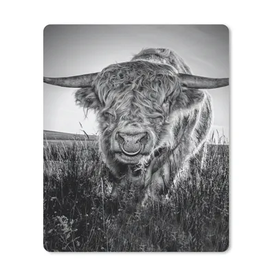 Produktbild von MuchoWow® Mauspad Mousepad Schottischer Highlander - Schwarz und Weiß 19x23 cm - Mousepads - Maus Mat - Pad - Mausunterlage - Mauspads - Spielen
