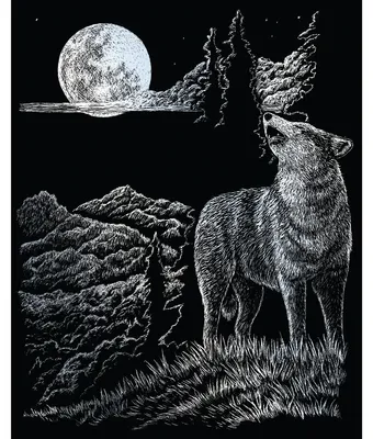 Produktbild von PRACHT® Creatives Kratzbild Wolf & Mond silber