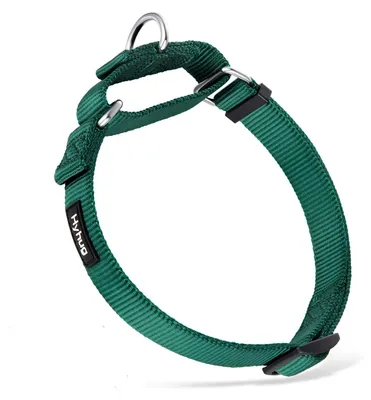 Produktbild von Martingalhalsband für mittelgroße Hunde, Farbe: Grün