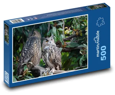 Obrázok produktu pre Puzzle 500 Výrik Veľký v lese - martinpuzzle