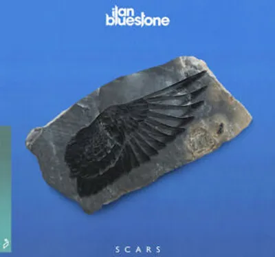 Produktbild von Scars