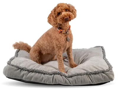Immagine prodotto di Omgoods - Cuccia per cani - Grigia (91 x 69 x 8 cm)
