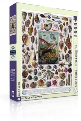 Productafbeelding van New York Puzzle Company Mollusken - 1000 stukjes