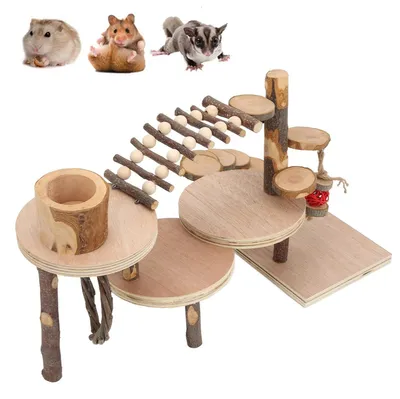 Holz-Hamsterbrücke mit Plattformen, Rampen und Treppen für Kleintiere