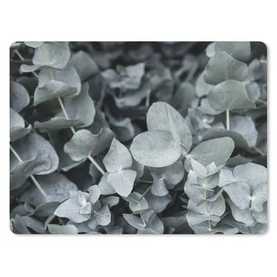 Obrázok produktu pre Podložka pod myš - Príroda - Rastliny - Eukalyptus - Listy - 40x30cm - Rohožka pod myš