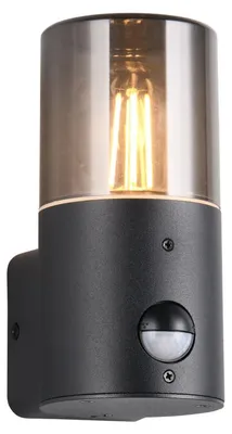 Image de Applique d'extérieur avec détecteur de mouvement E27 28W HOOSIC Trio