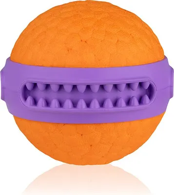 Obrázek produktu pro EXPLORER DOG AirBall Dent 6 cm