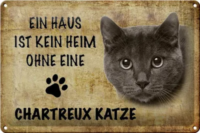 Produktbild von Blechschild Spruch 30x20cm Chartreux Katze ohne kein Heim