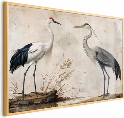 Produktbild von Posterpapier Poster - Birds from an Old Engraving - vintage-style illustration of a heron and a crane 60x40 cm Tiere g-C-10156-ao-a