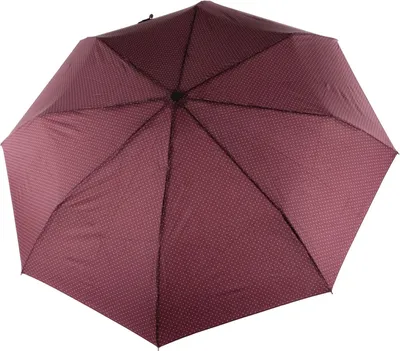 An open umbrella on a white background.