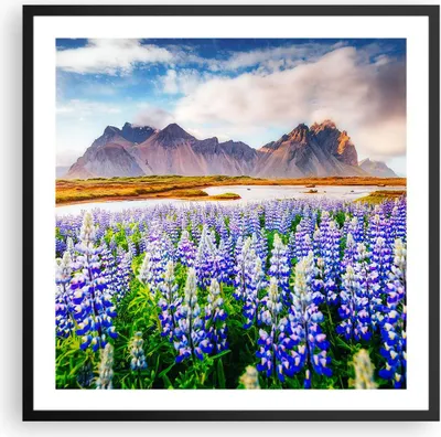 Produktbild von Gerahmtes Poster - Schwarzer Rahmen - Berge Wiese Blumen - 60x60 cm - Wand Bild - Wanddeko - Wandbilder - Kunstposter - Wandposter - Bilderrahmen - Bilder - Kunstdruck - Wandbild - P2BAC60x60-4114